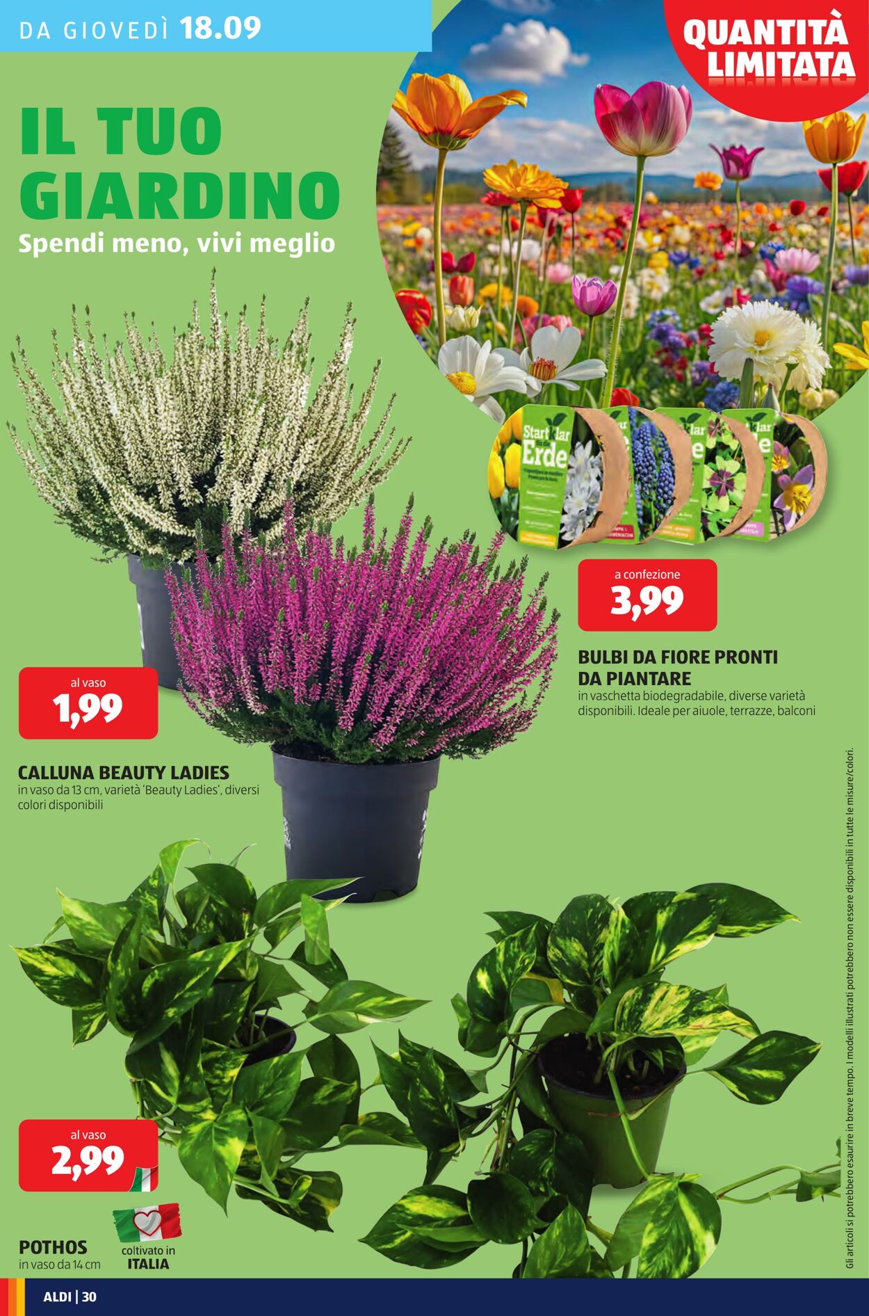 Volantino Aldi 15.09.2025 - 21.09.2025