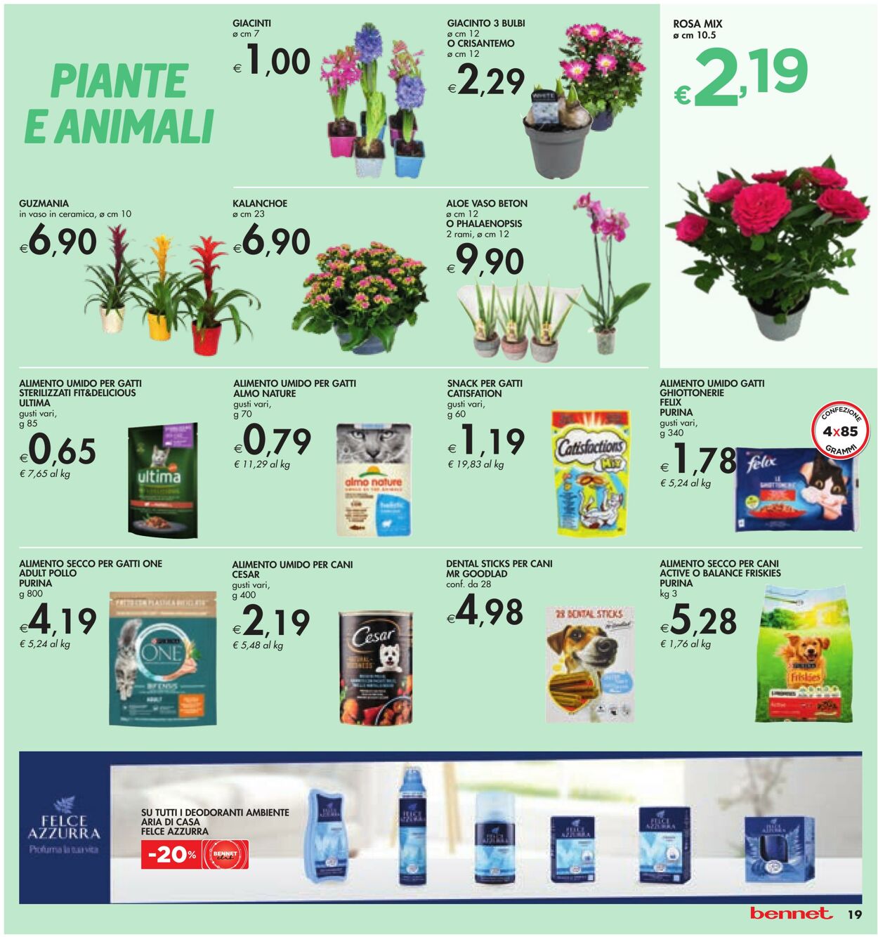 Volantino Bennet 05.01.2023 - 18.01.2023