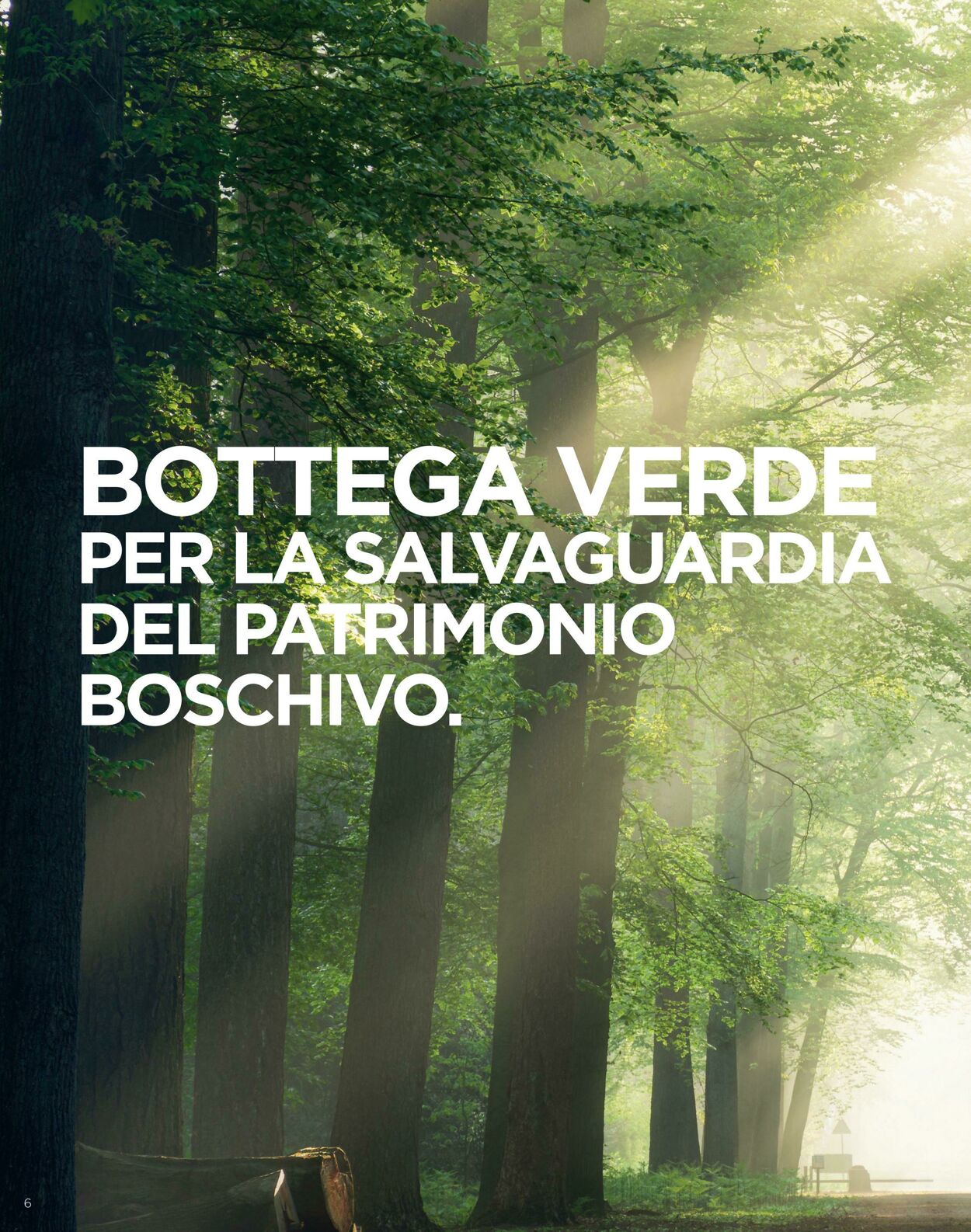 Volantino Bottega Verde 24.04.2025 - 24.09.2025
