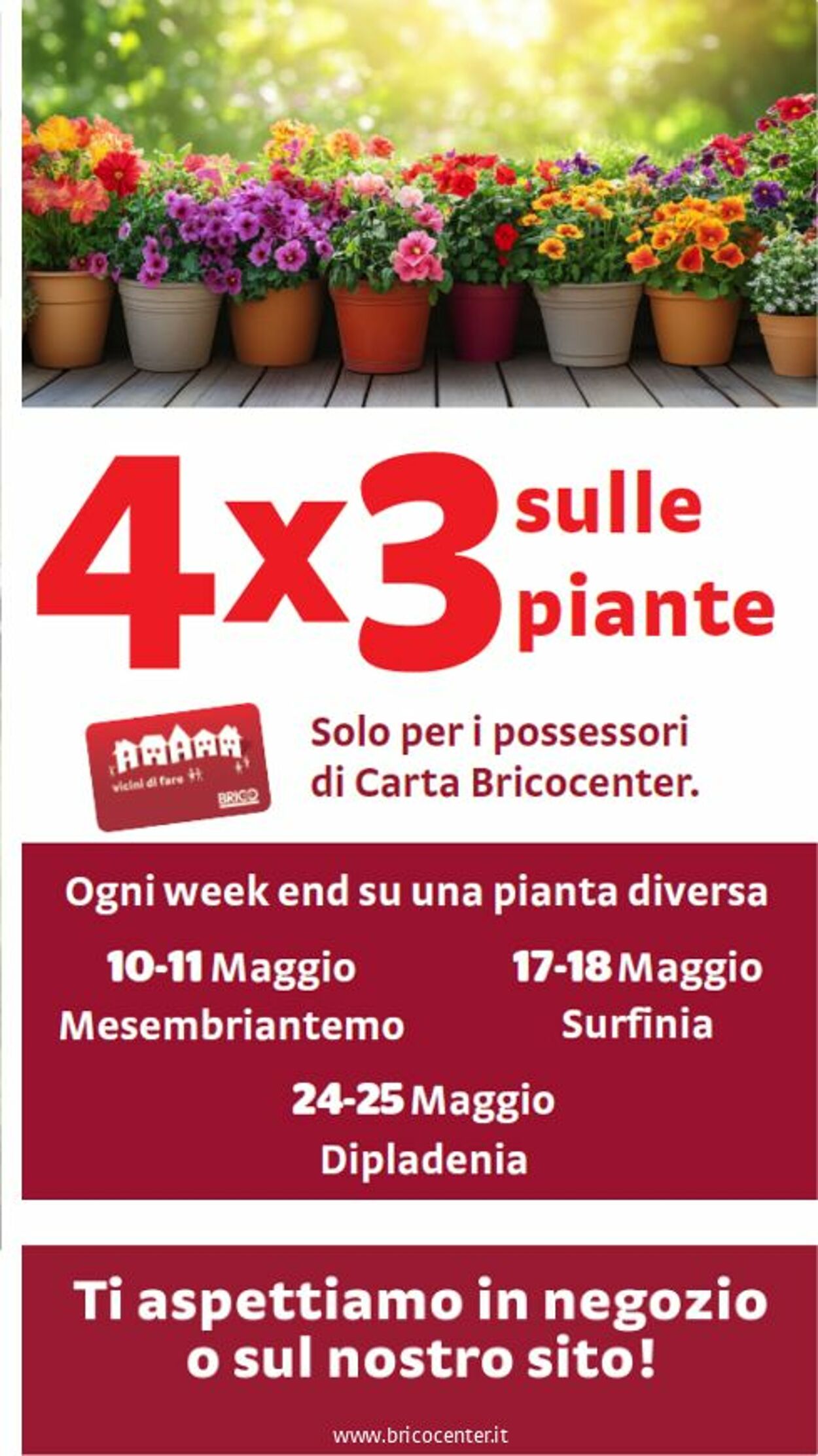 Volantino Brico Center 07.05.2025 - 02.06.2025