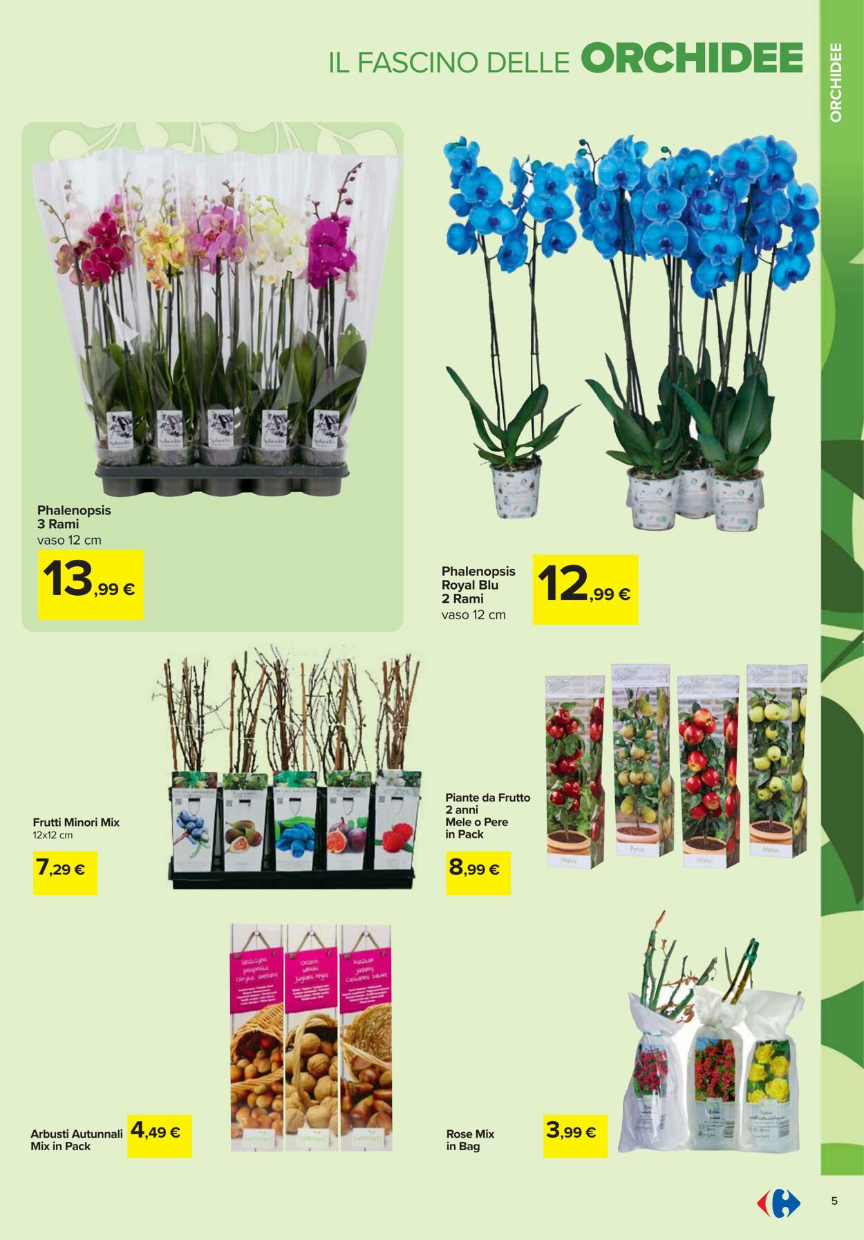 Volantino Carrefour 19.02.2026 - 06.04.2026