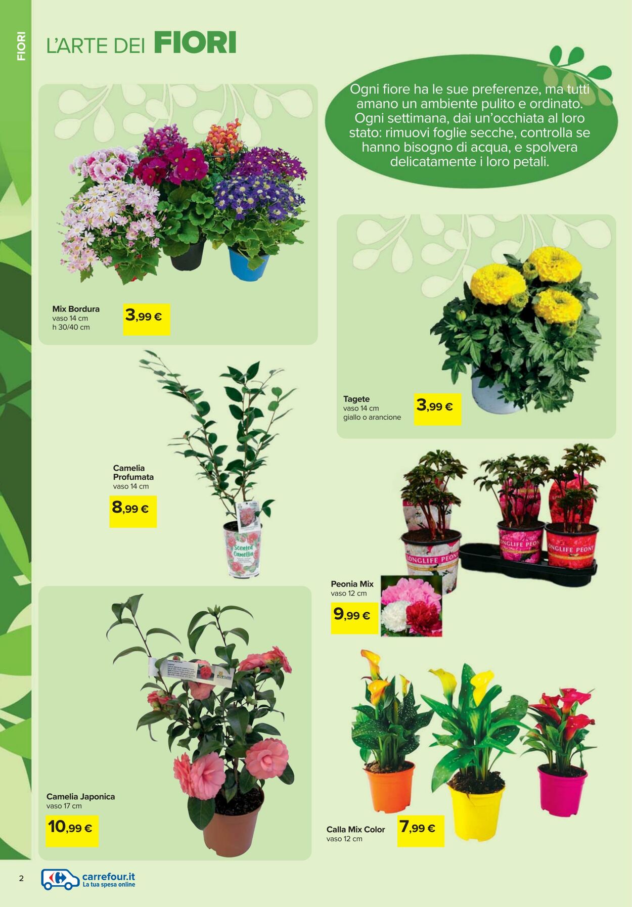 Volantino Carrefour 19.02.2026 - 06.04.2026
