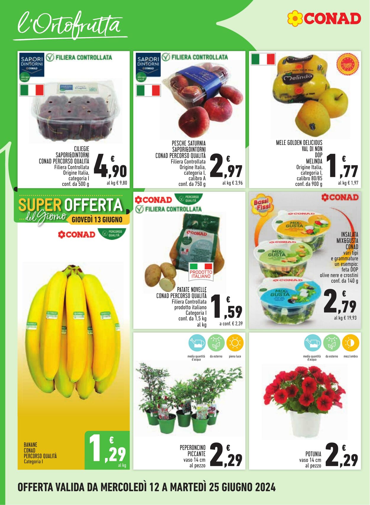 Volantino Conad 12.06.2024 - 25.06.2024