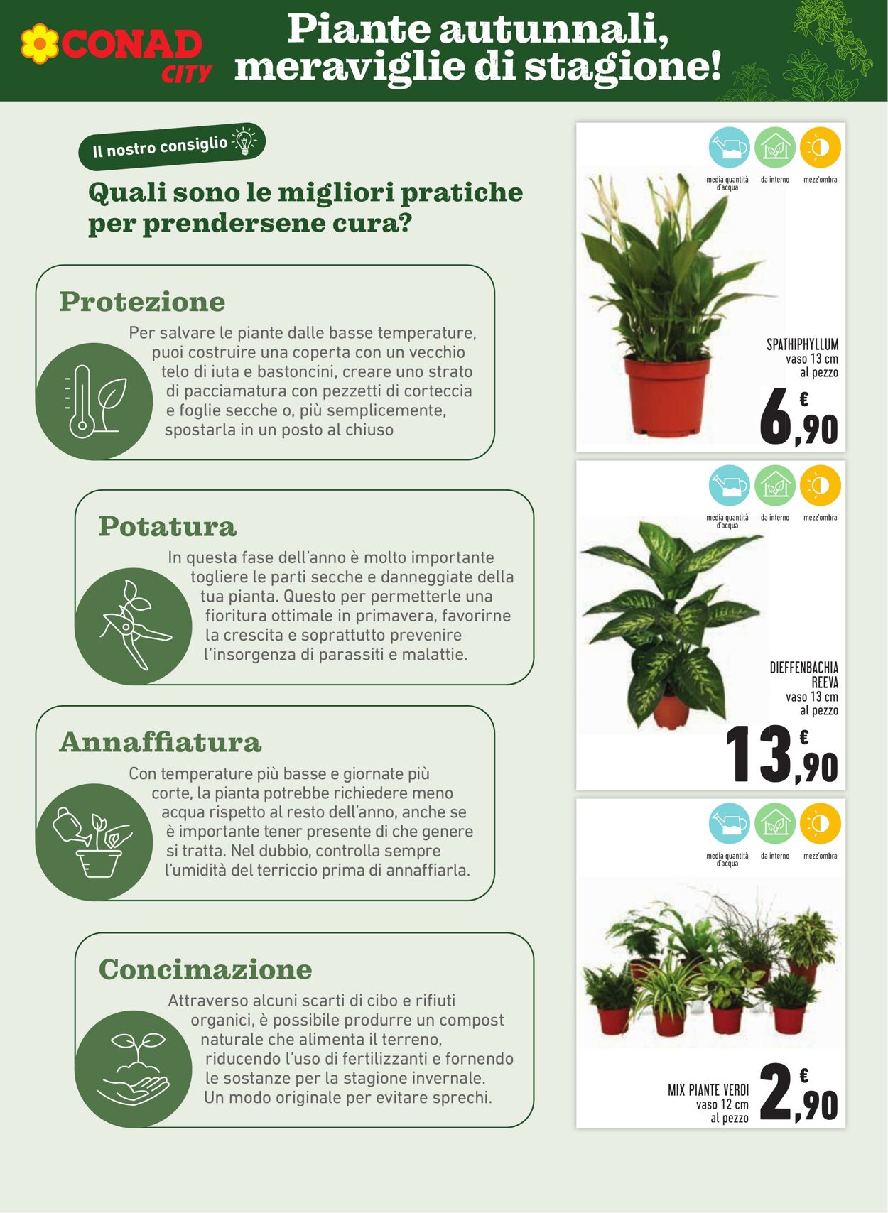 Volantino Conad 02.11.2025 - 02.11.2025