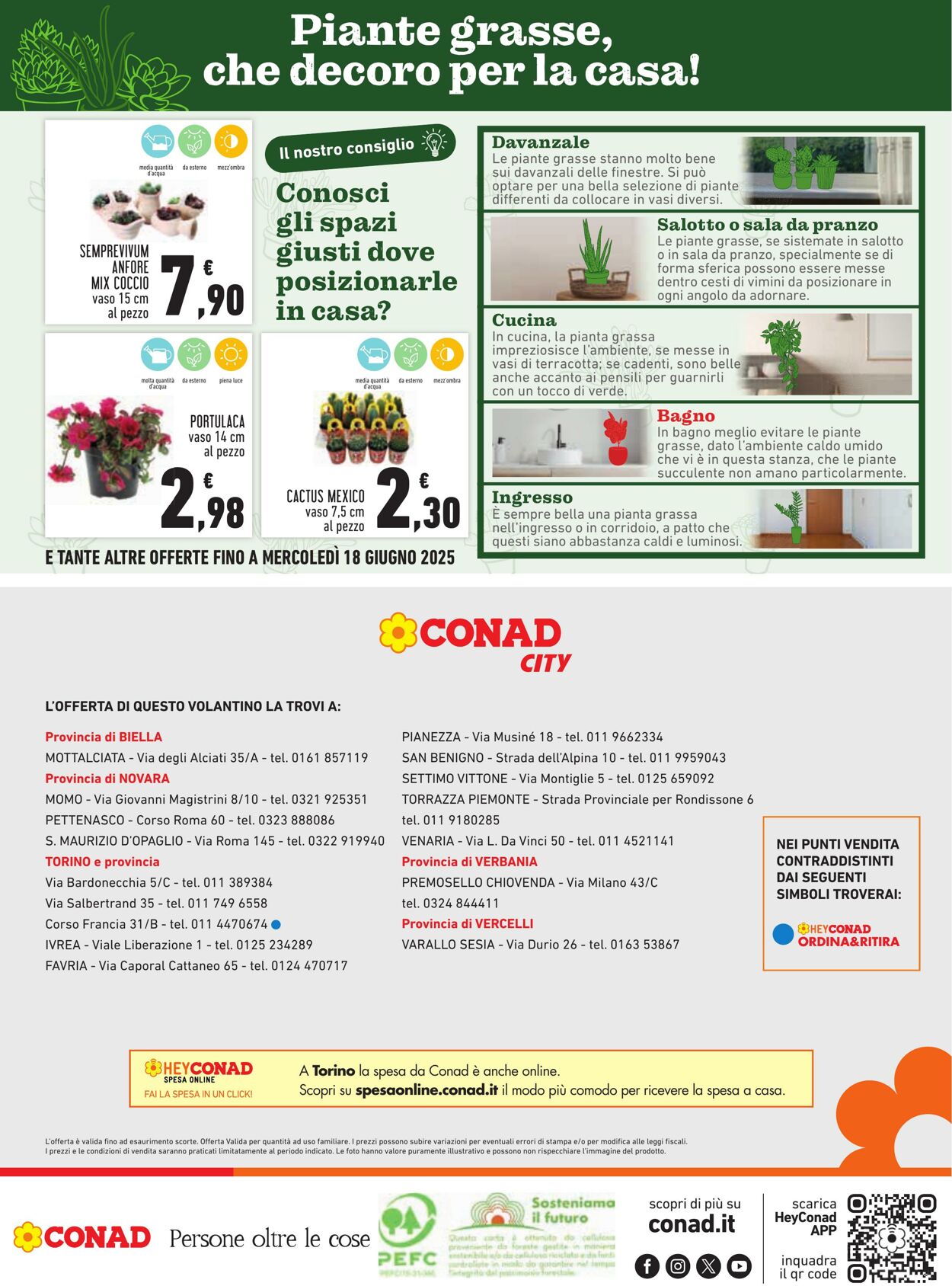 Volantino Conad 14.06.2025 - 14.06.2025