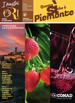 Volantino Conad 02.06.2025 - 02.06.2025