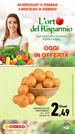 Volantino Conad 11.02.2025 - 26.02.2025