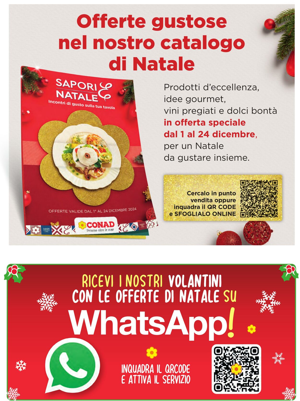 Volantino Conad 18.12.2024 - 31.12.2024