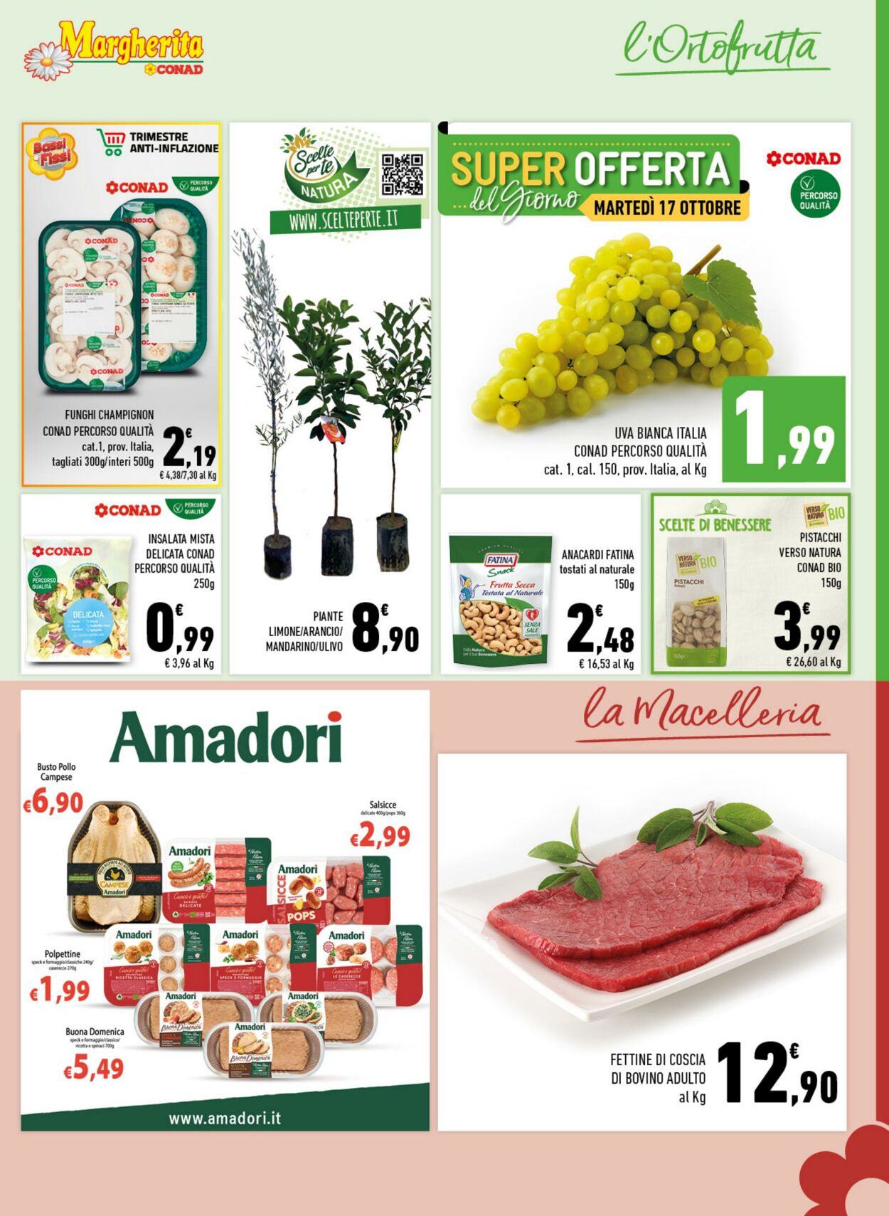 Volantino Conad 11.10.2023 - 22.10.2023