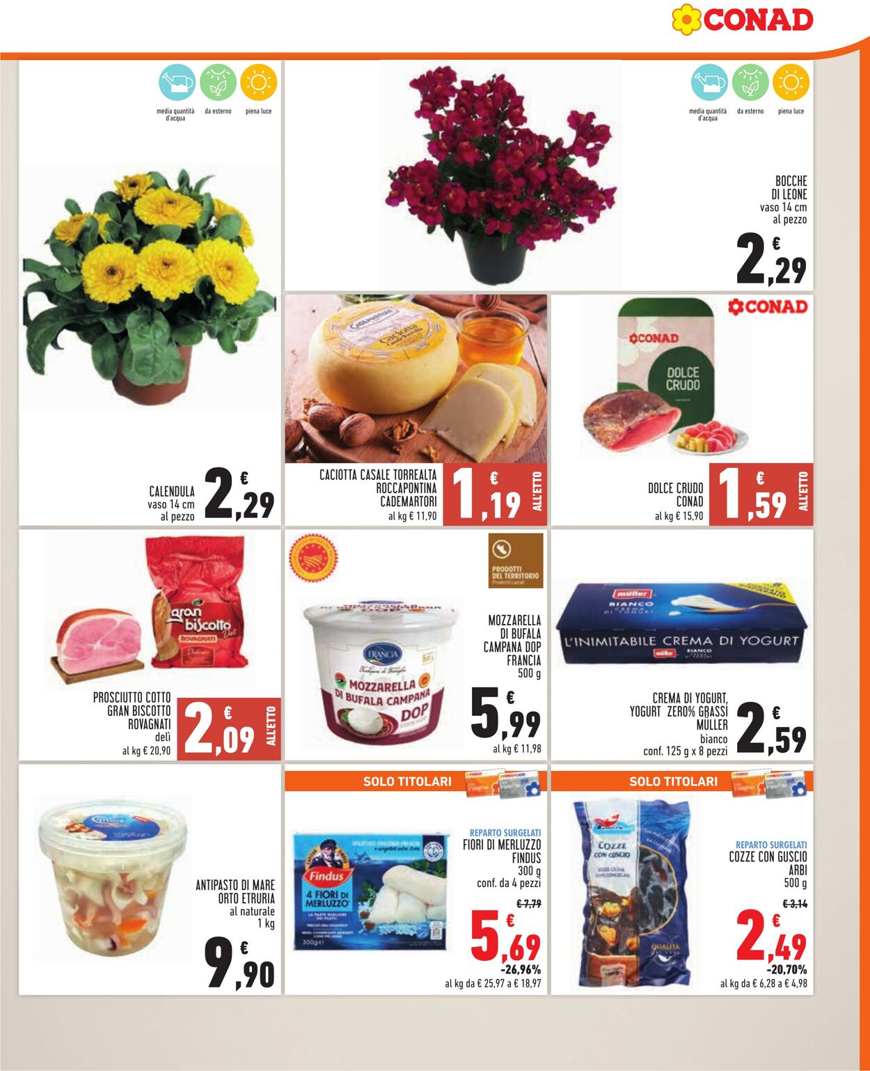 Volantino Conad 05.01.2025 - 11.02.2025