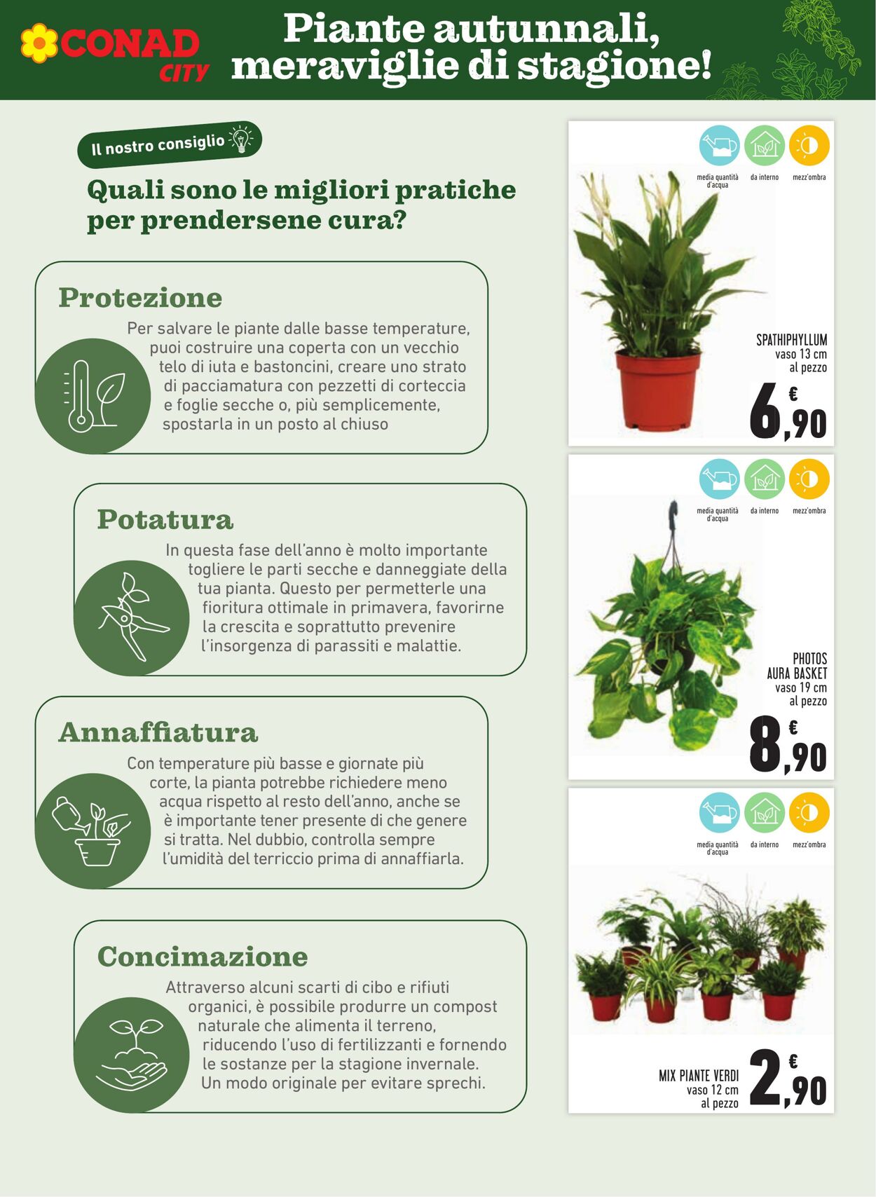 Volantino Conad 02.11.2025 - 02.11.2025