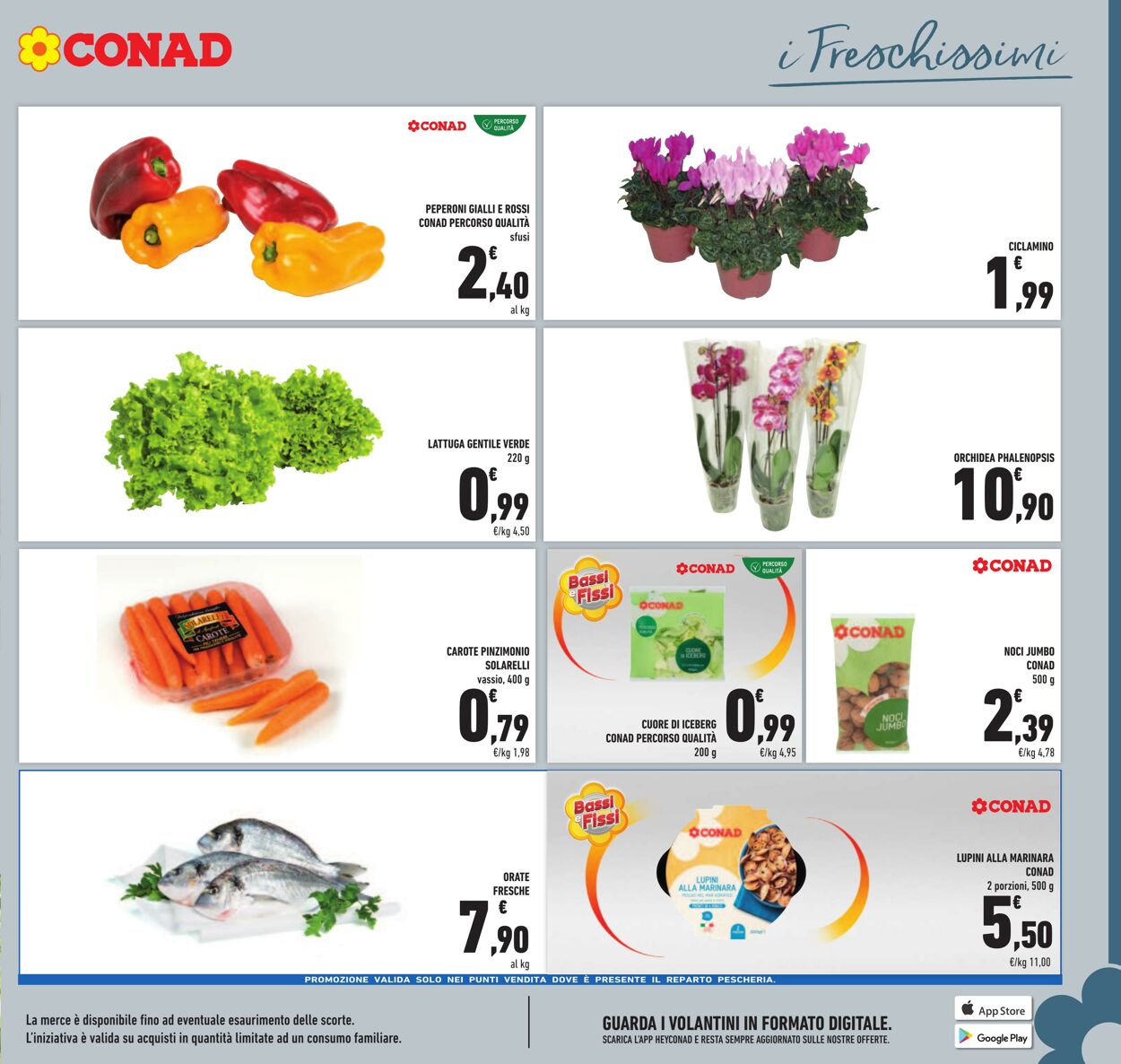 Volantino Conad 19.09.2024 - 29.09.2024