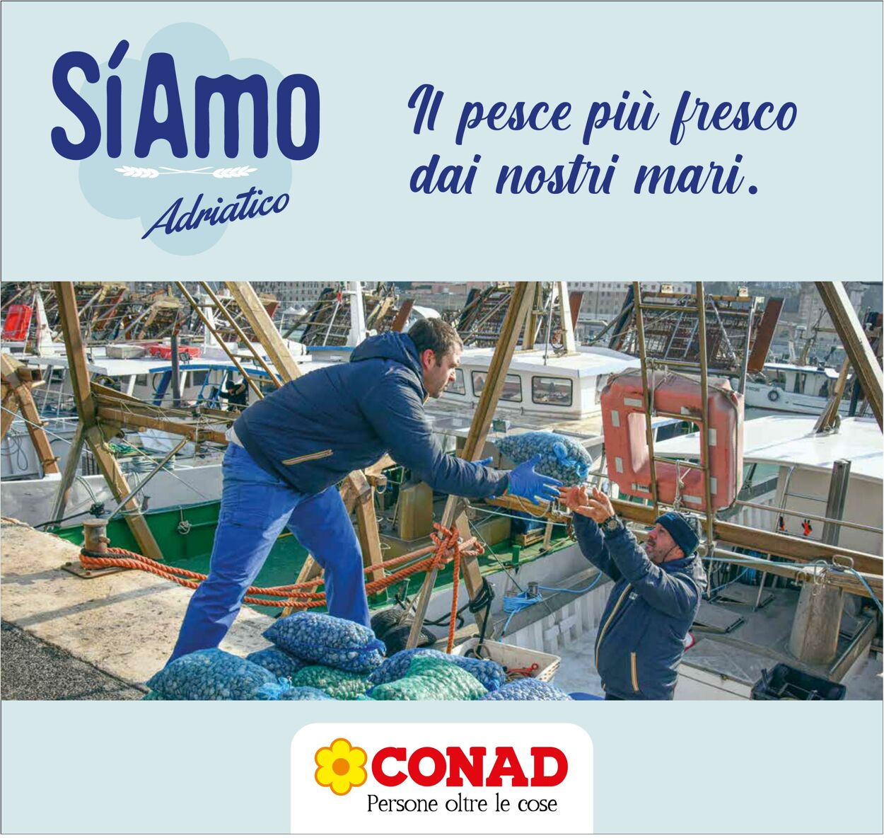 Volantino Conad 27.12.2022 - 06.01.2023