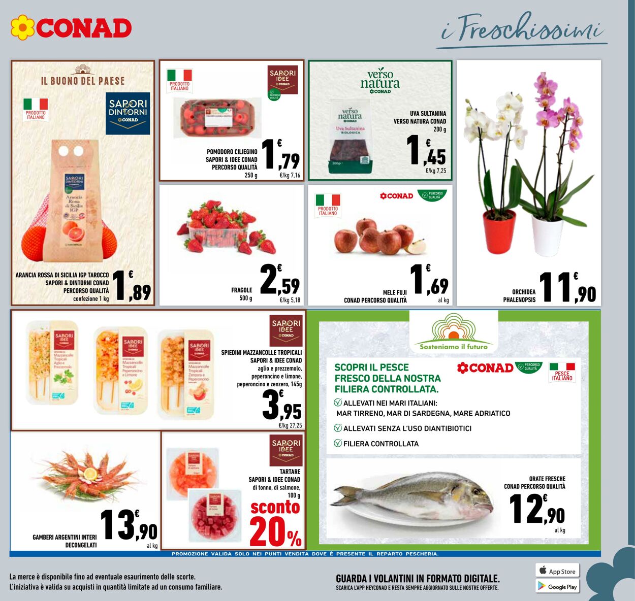 Volantino Conad 08.02.2024 - 17.02.2024