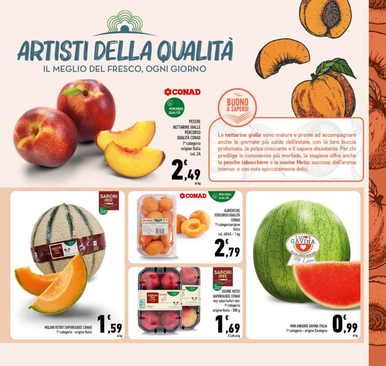 Volantino Conad 24.07.2024 - 04.08.2024