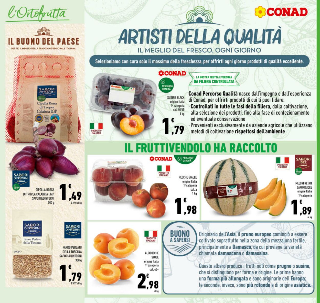 Volantino Conad 19.07.2023 - 30.07.2023