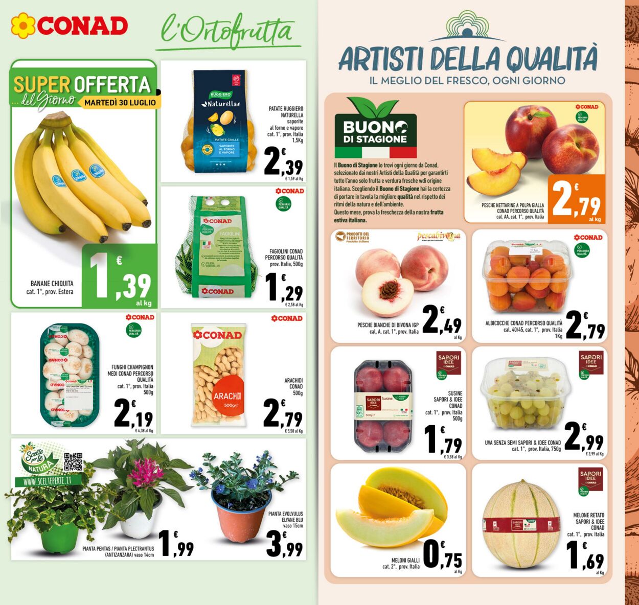 Volantino Conad 24.07.2024 - 04.08.2024