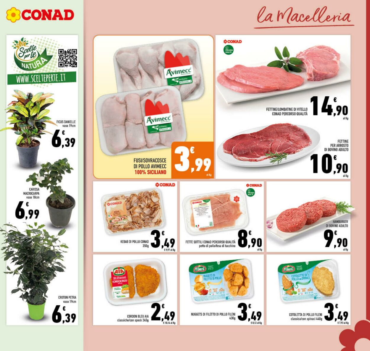 Volantino Conad 04.09.2024 - 15.09.2024