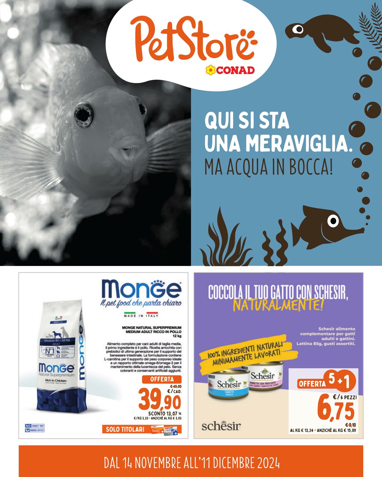 Volantino Conad 14.11.2024 - 11.12.2024