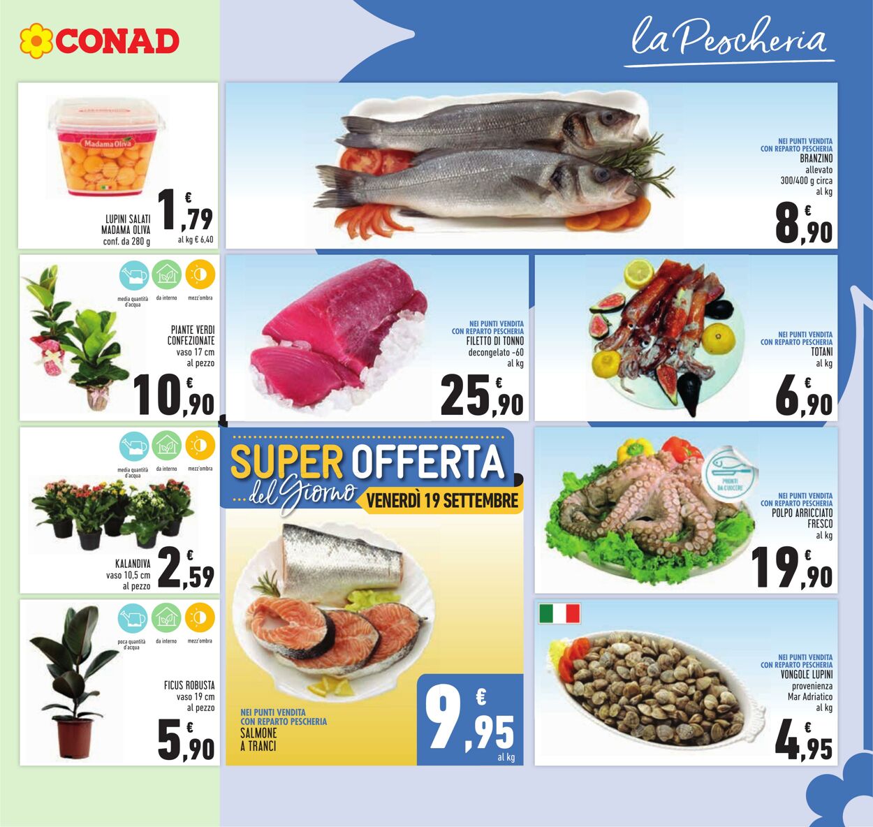 Volantino Conad 12.09.2025 - 12.09.2025
