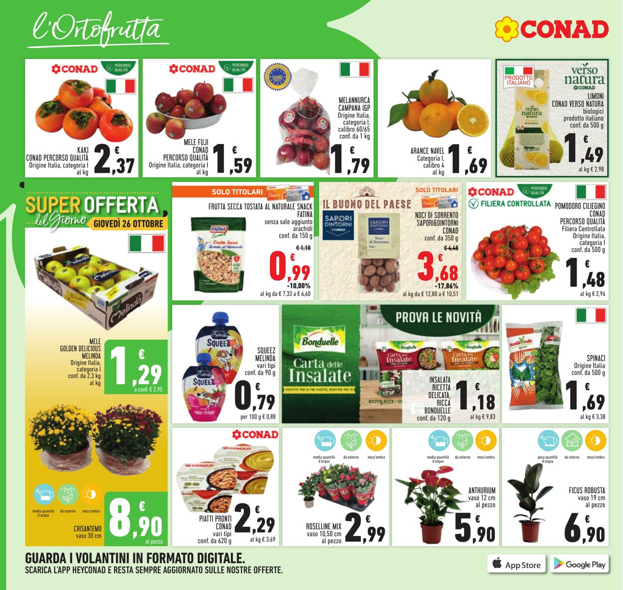 Volantino Conad 25.10.2023 - 05.11.2023