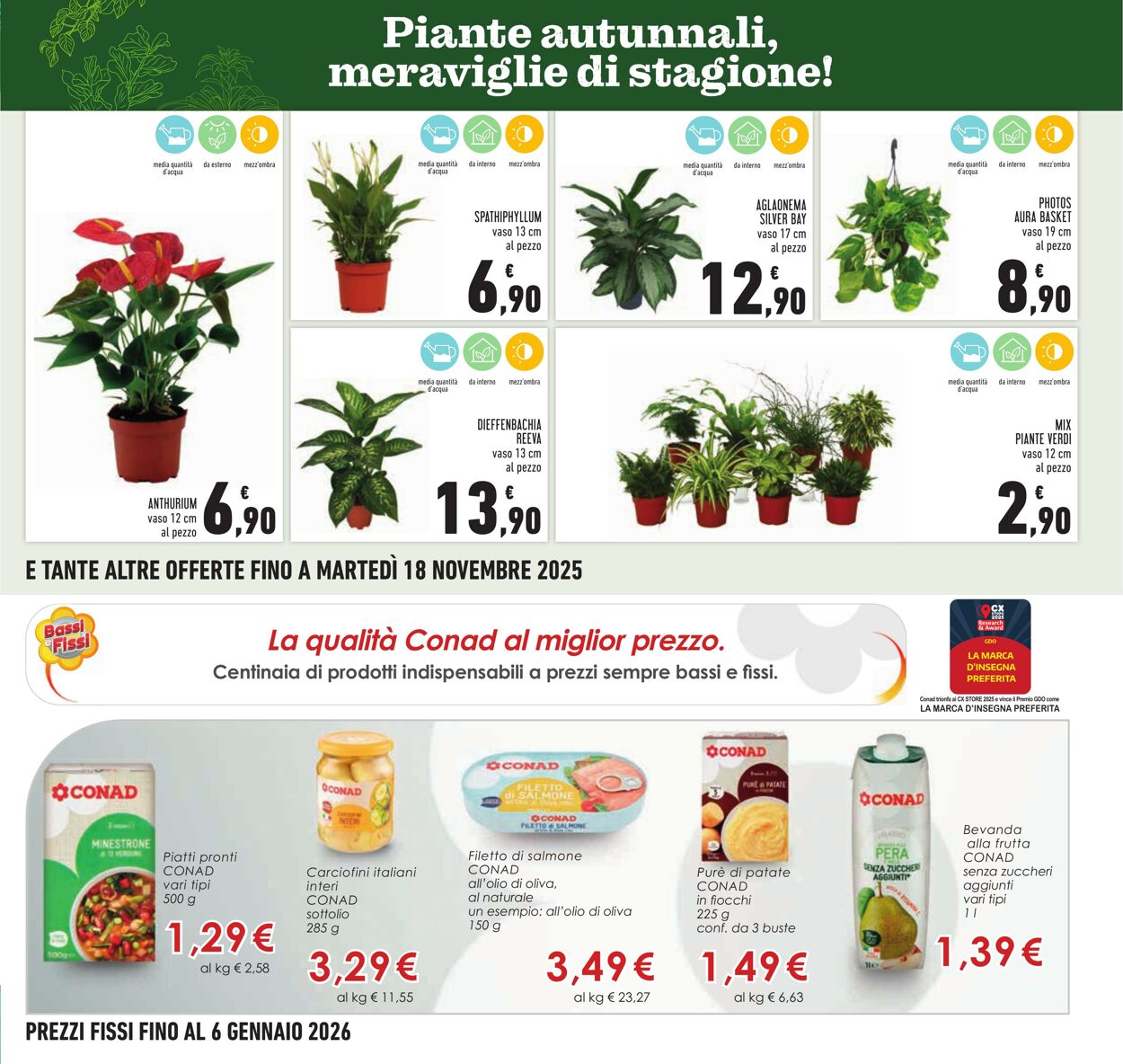 Volantino Conad 16.11.2025 - 16.11.2025