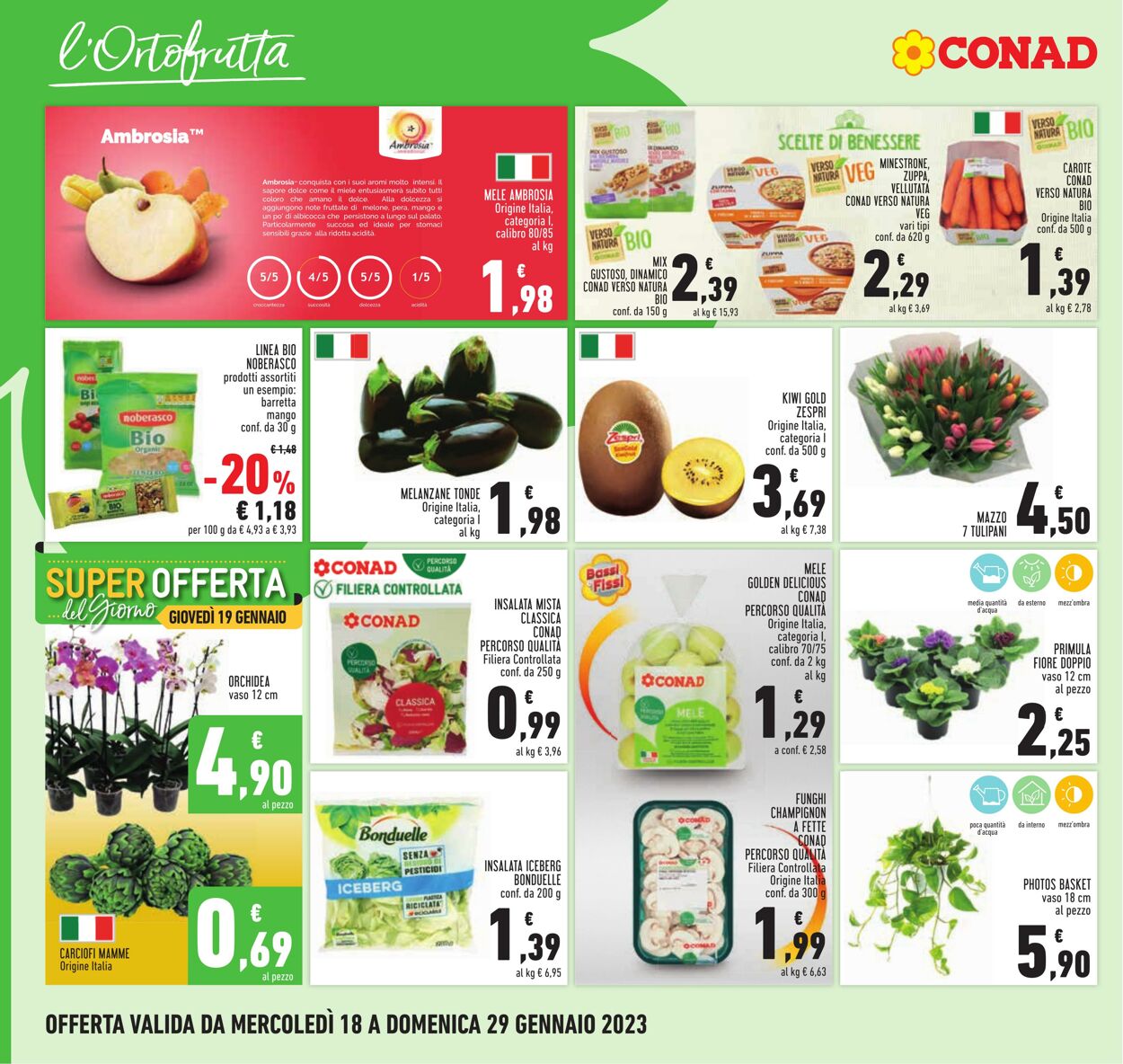 Volantino Conad 18.01.2023 - 29.01.2023