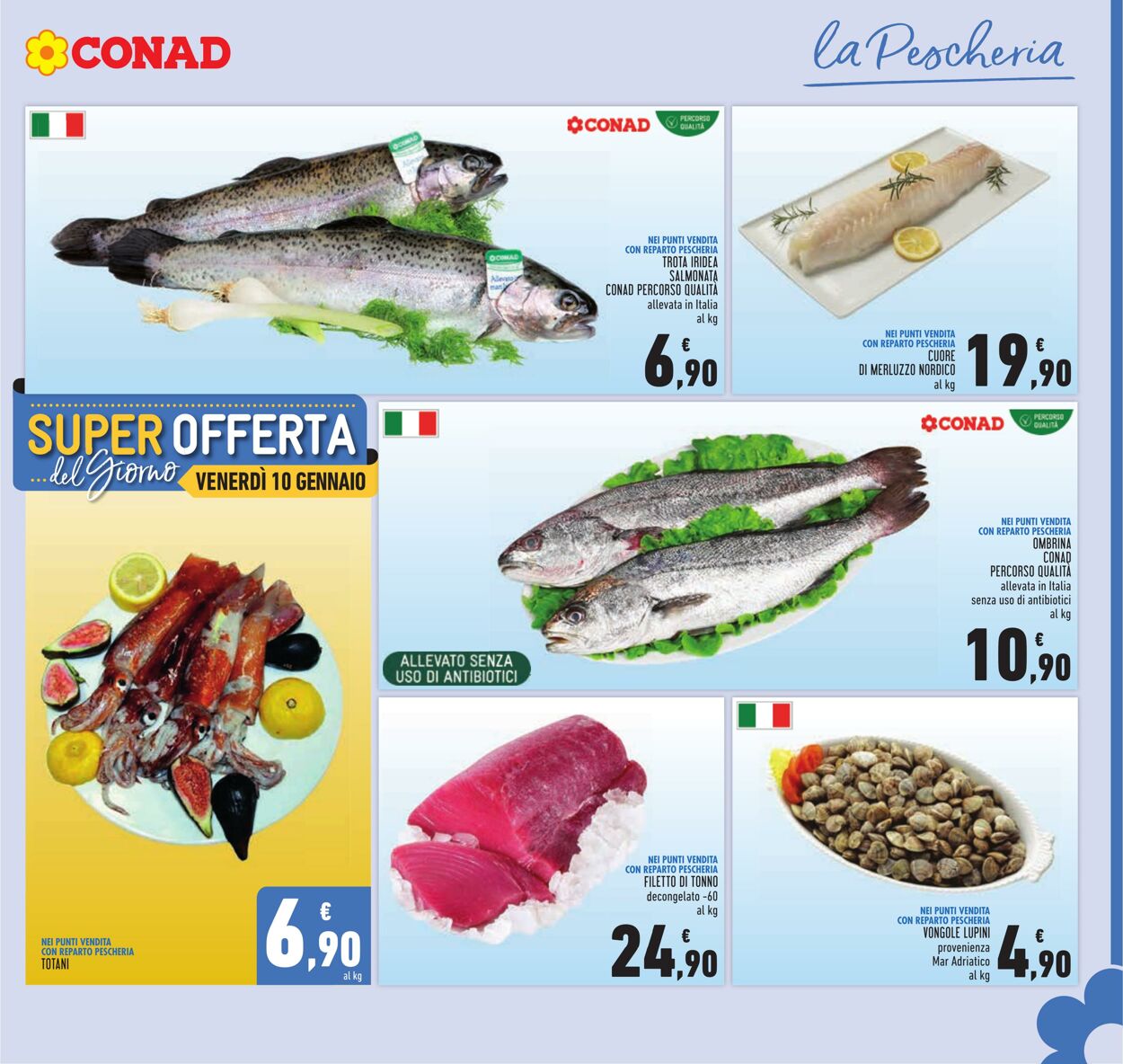 Volantino Conad 03.01.2025 - 14.01.2025