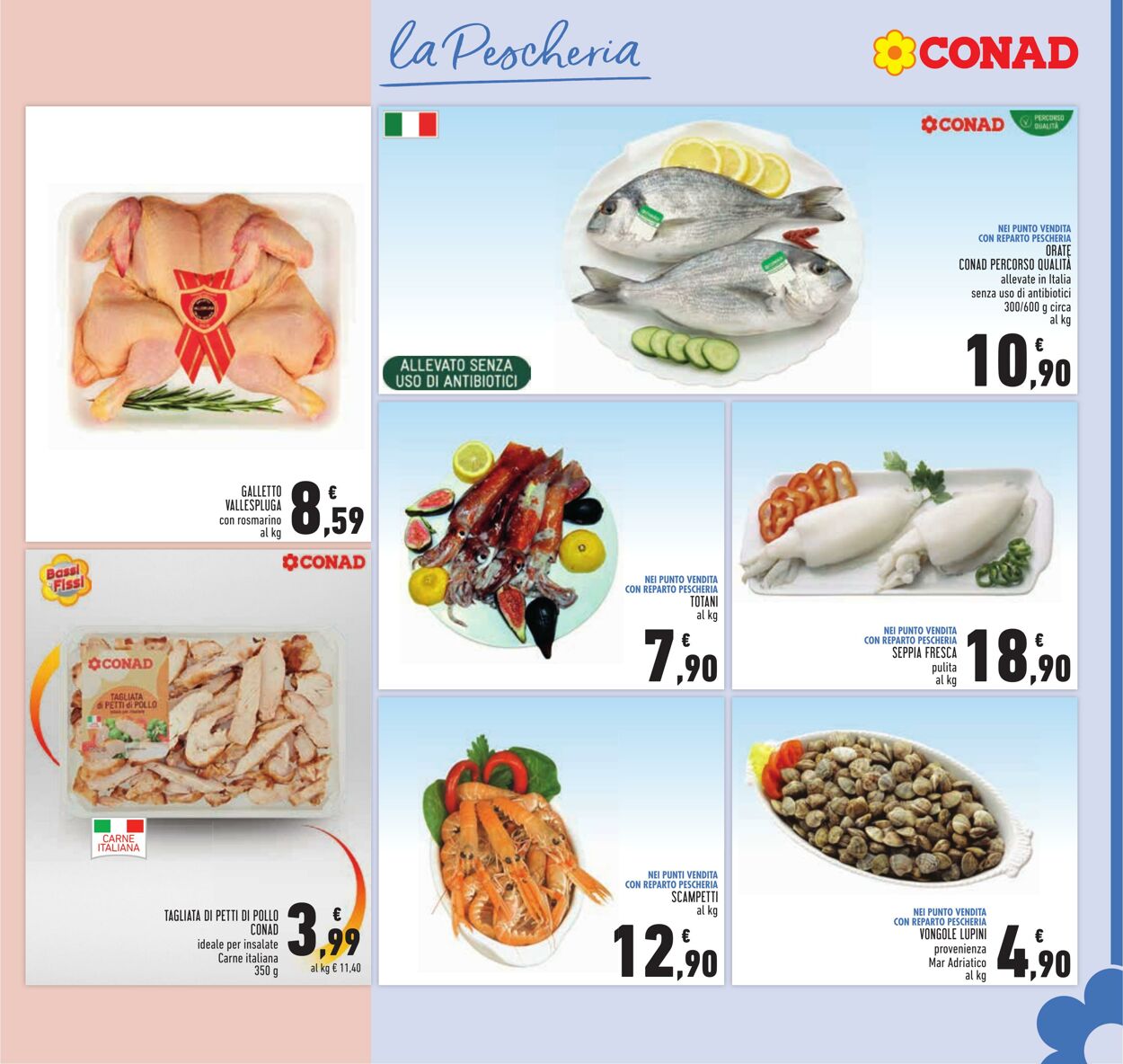 Volantino Conad 01.11.2023 - 10.12.2023