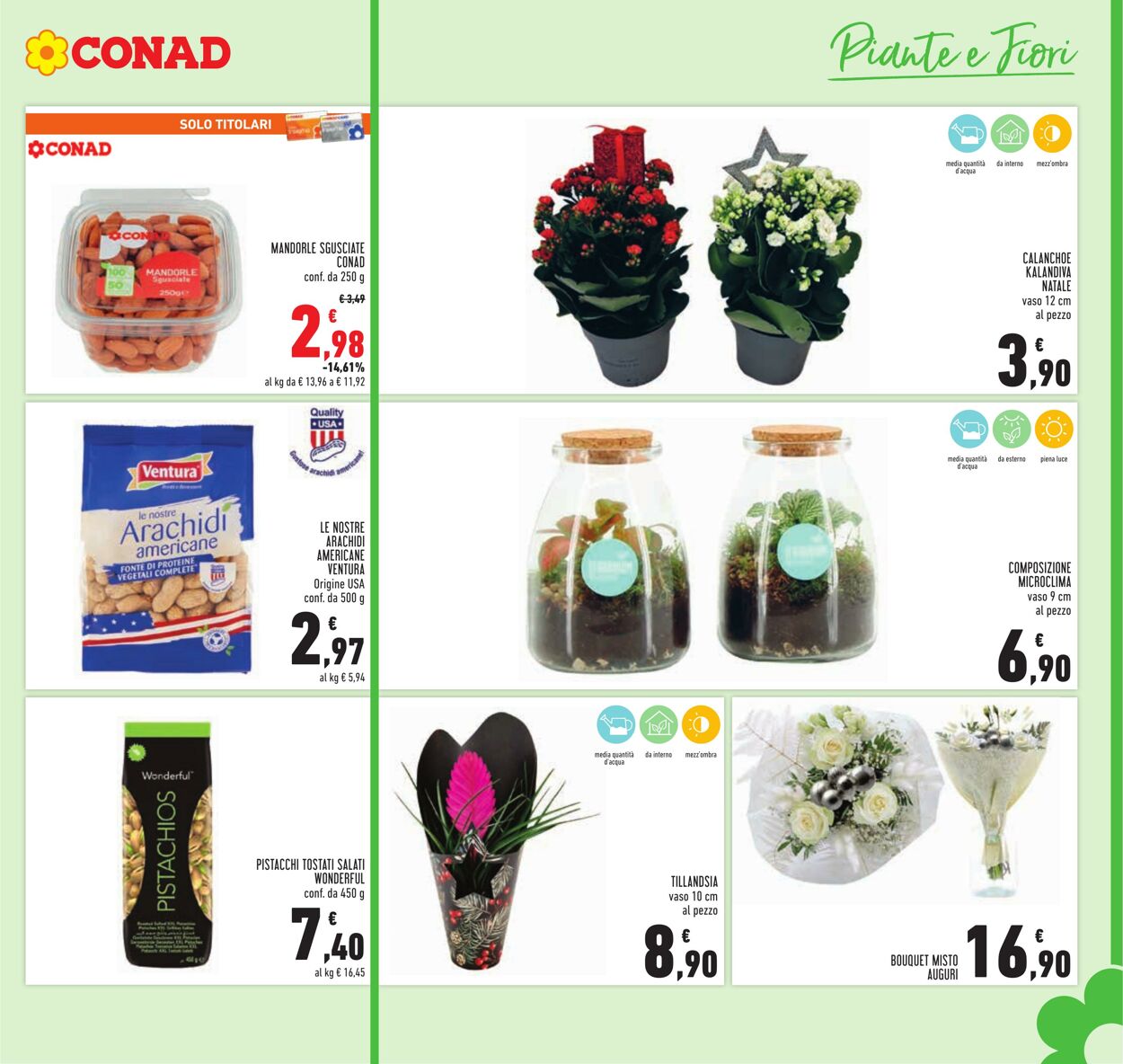 Volantino Conad 27.12.2024 - 06.01.2025