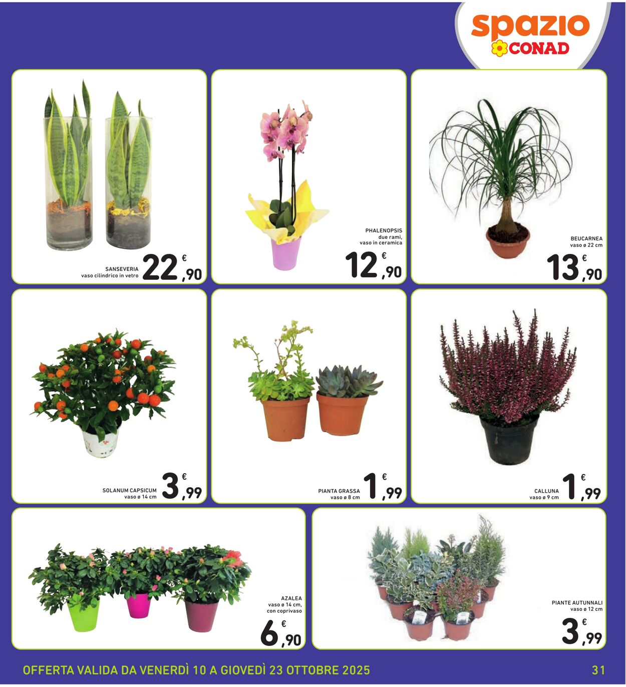 Volantino Conad 18.10.2025 - 18.10.2025