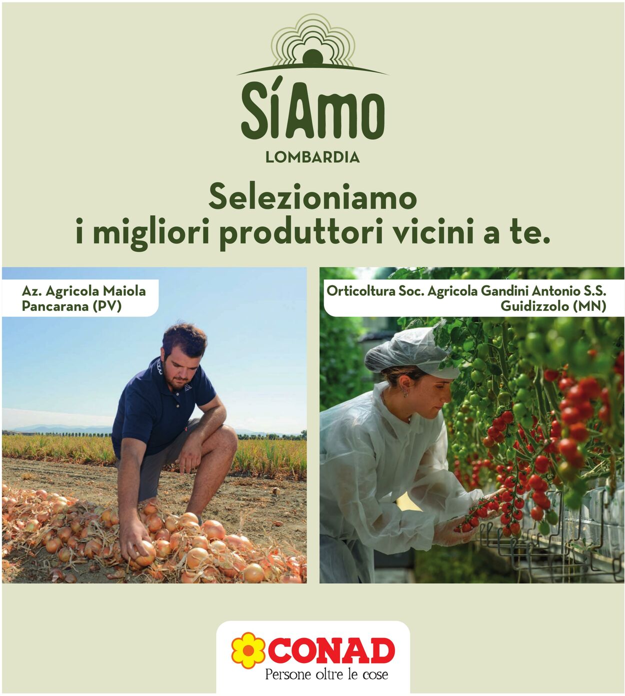 Volantino Conad 27.08.2024 - 05.09.2024