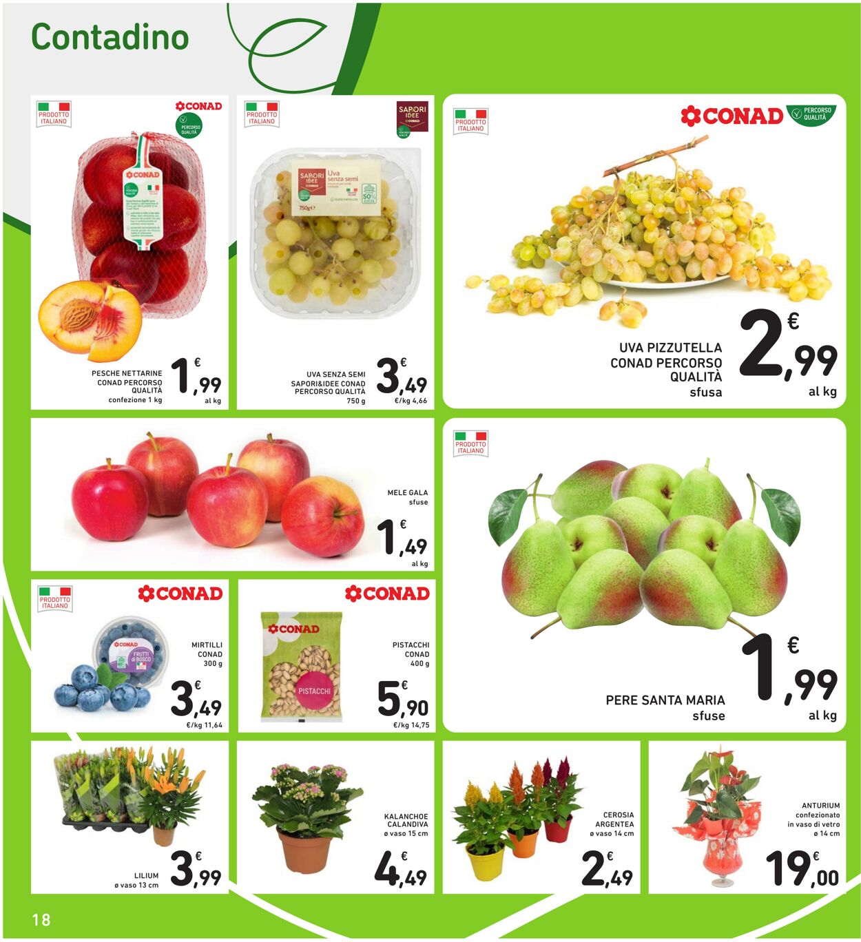 Volantino Conad 23.08.2025 - 23.08.2025