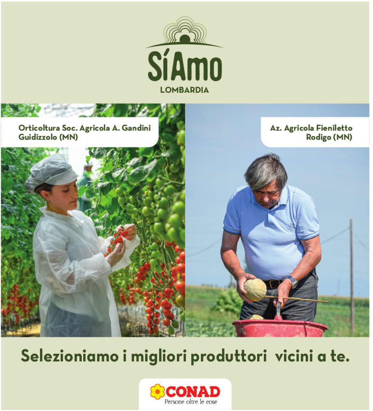 Volantino Conad 27.06.2023 - 06.07.2023