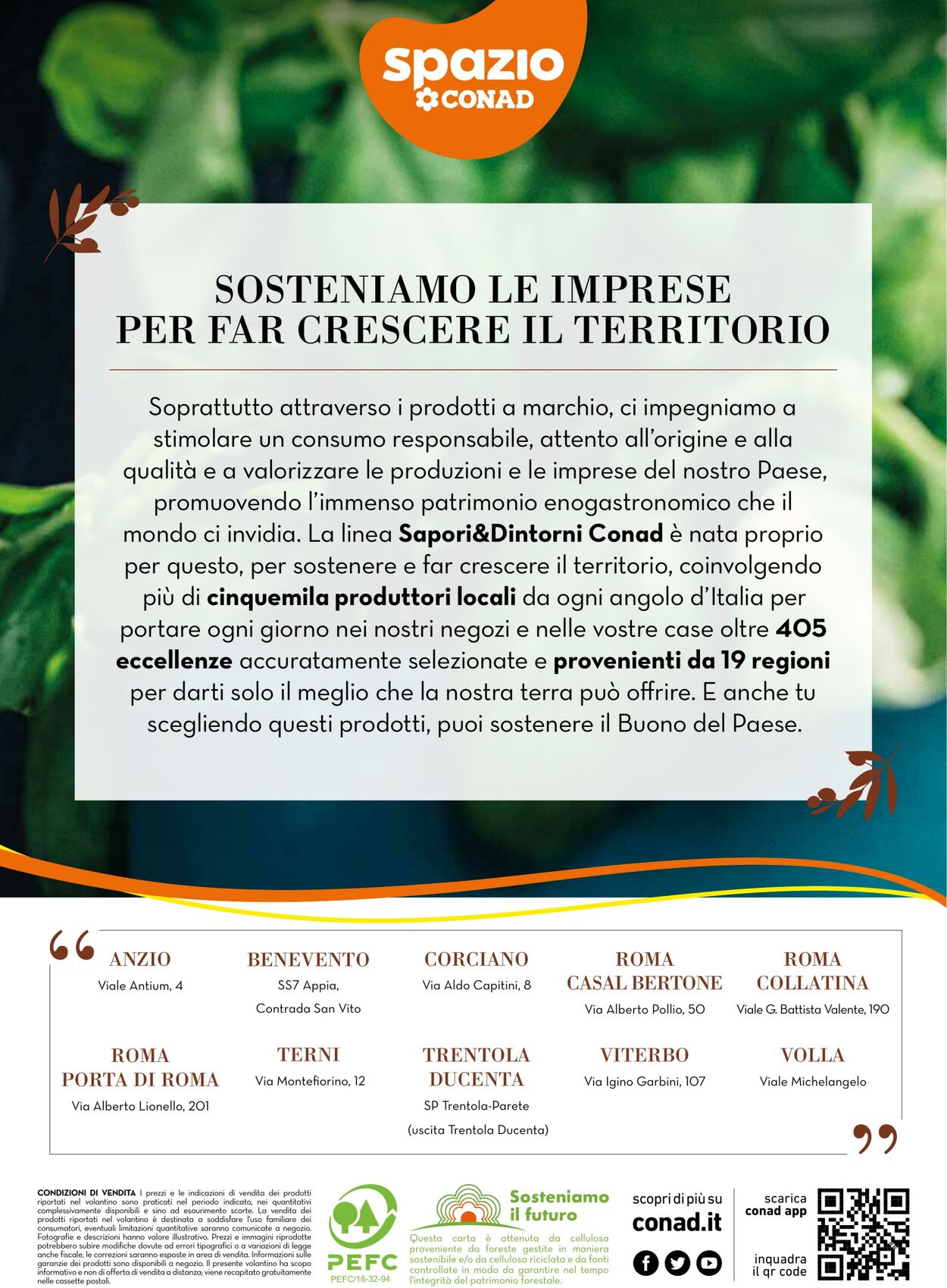 Volantino Conad 03.02.2023 - 02.03.2023