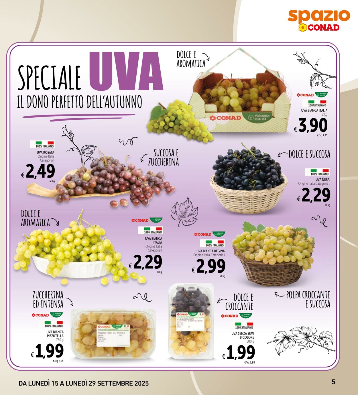 Volantino Conad 12.09.2025 - 12.09.2025