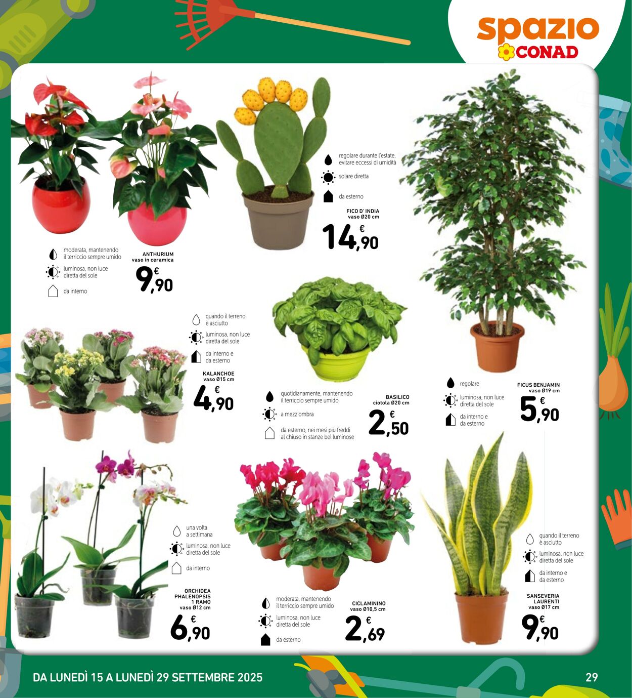 Volantino Conad 16.09.2025 - 16.09.2025