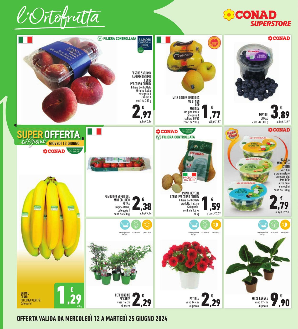 Volantino Conad 12.06.2024 - 25.06.2024