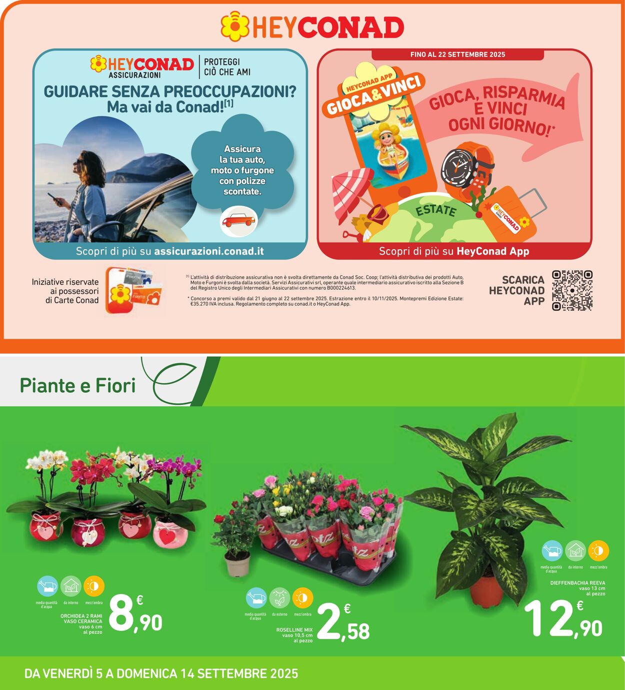 Volantino Conad 03.09.2025 - 03.09.2025