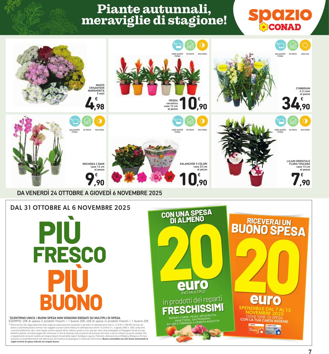 Volantino Conad 18.10.2025 - 18.10.2025