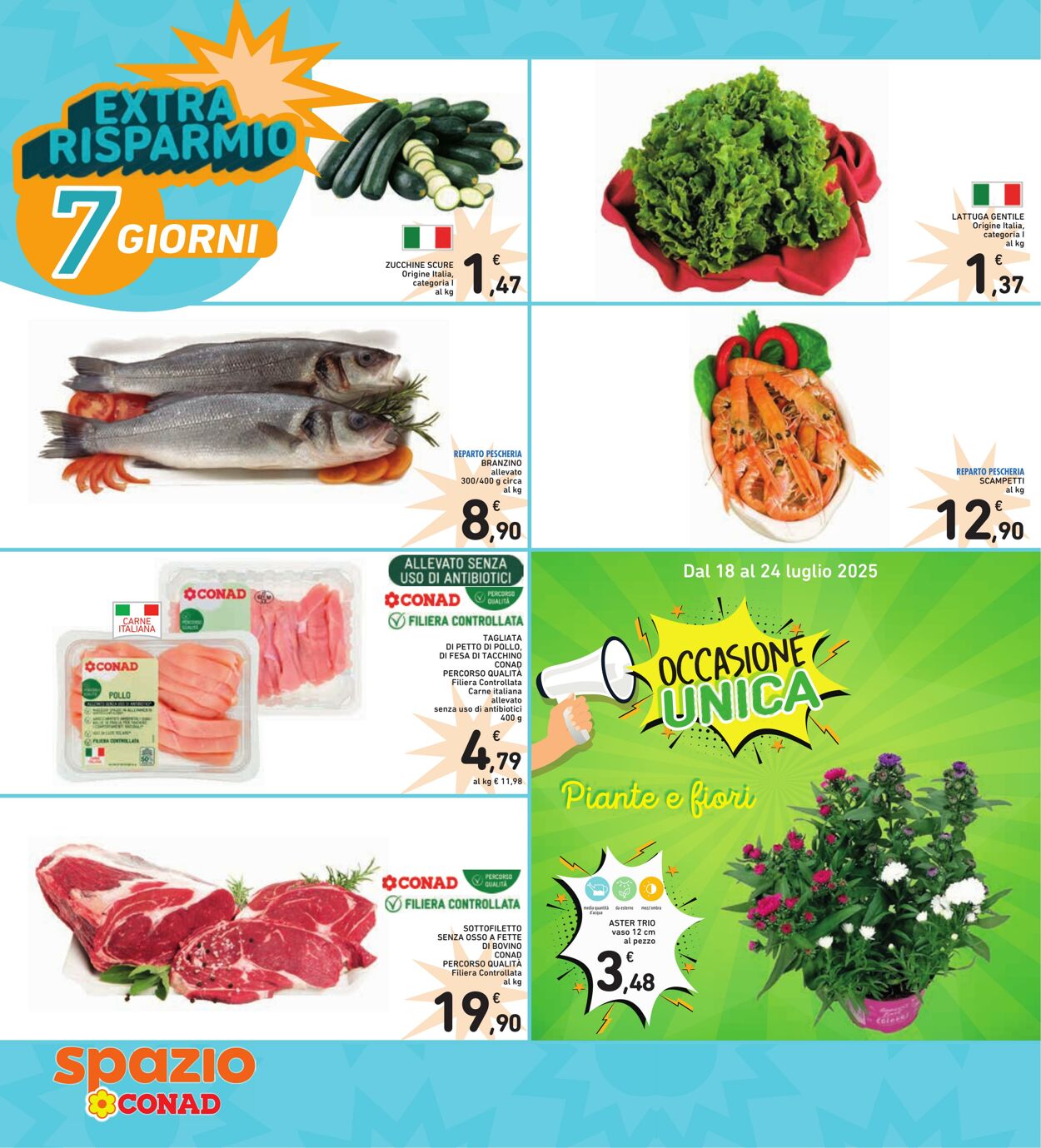 Volantino Conad 15.07.2025 - 15.07.2025