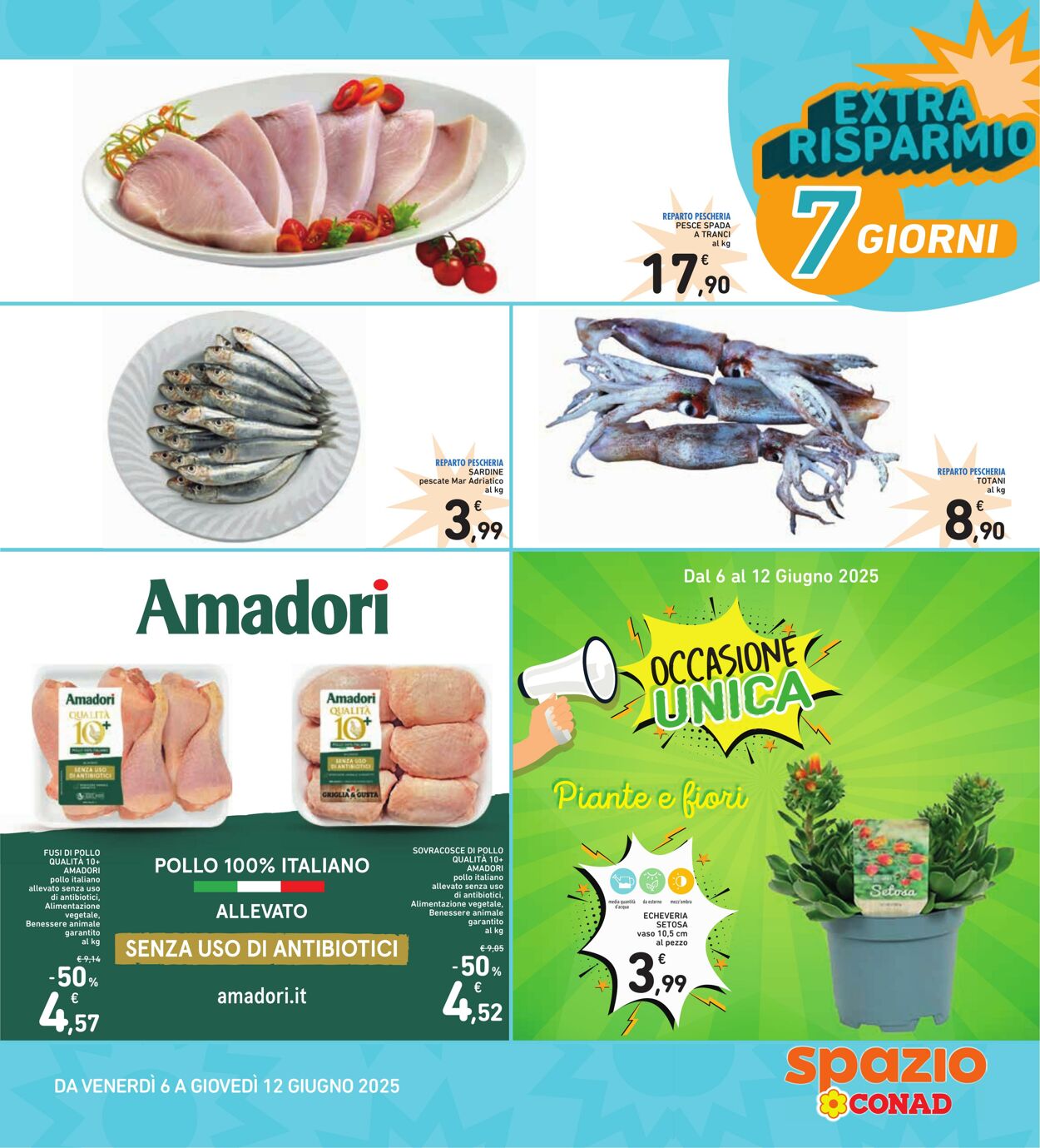 Volantino Conad 05.06.2025 - 05.06.2025