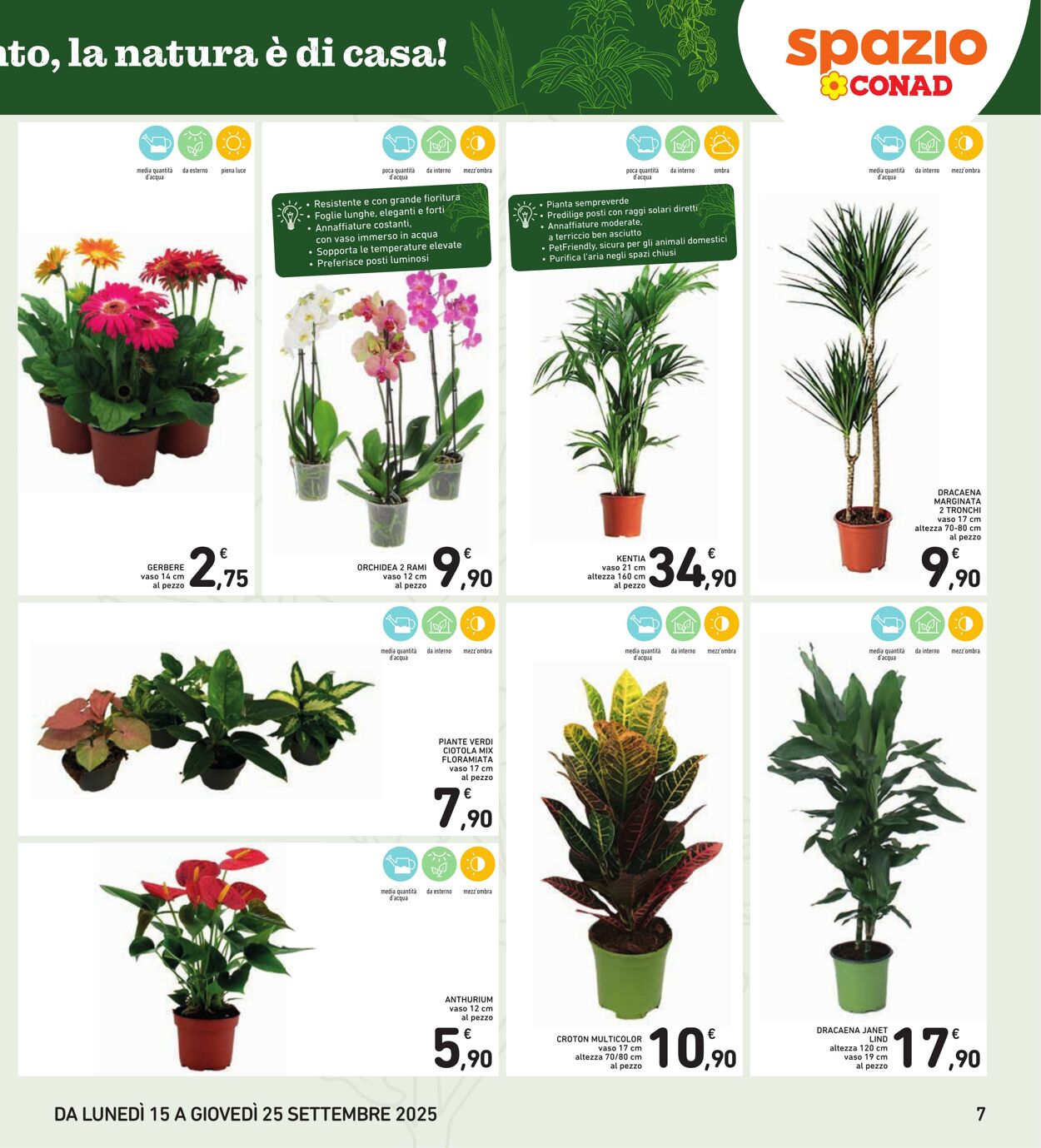 Volantino Conad 21.09.2025 - 21.09.2025