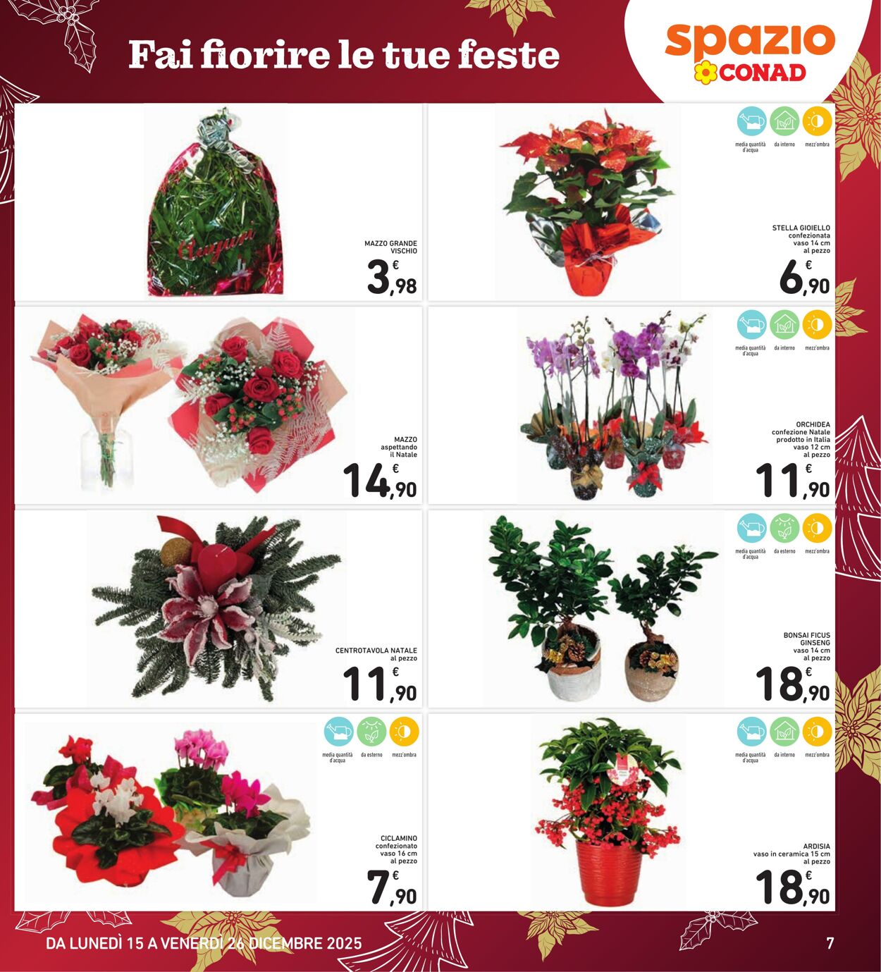 Volantino Conad 13.12.2025 - 13.12.2025