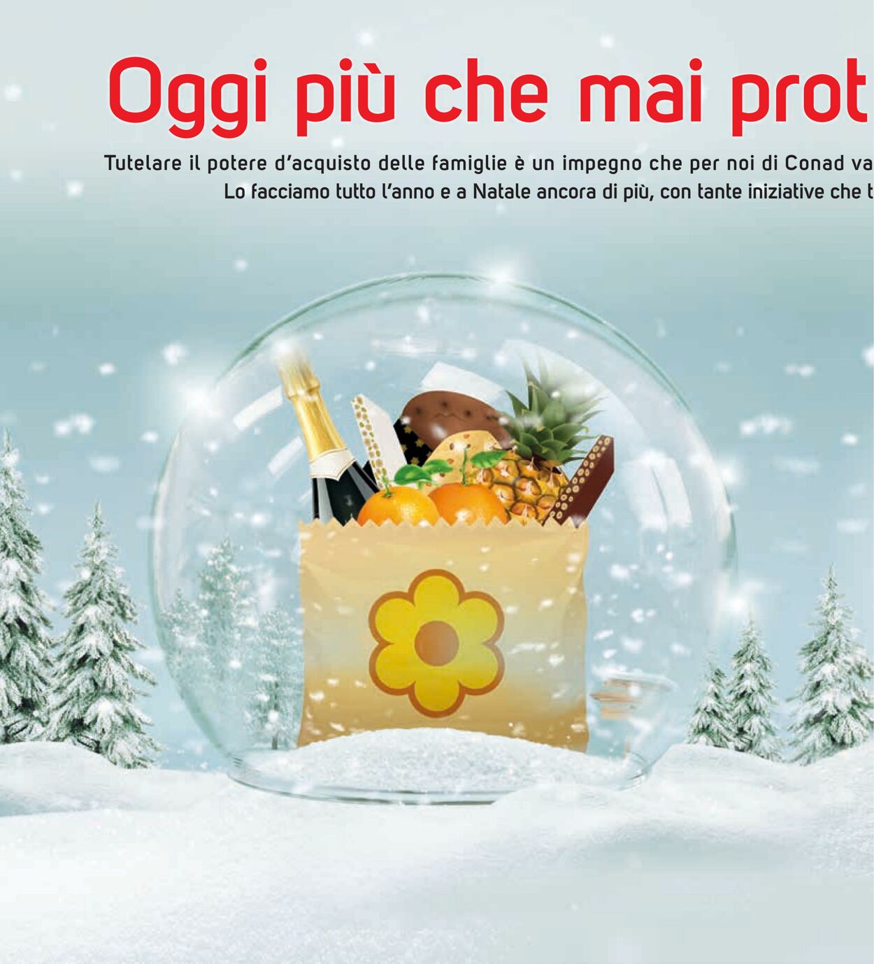 Volantino Conad 21.12.2022 - 31.12.2022