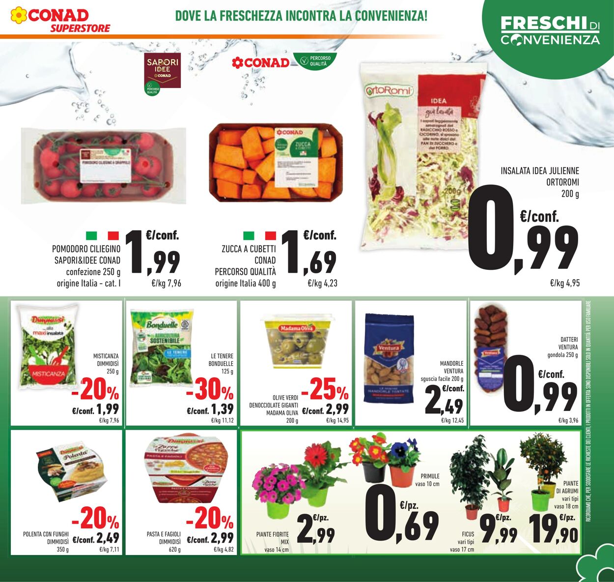 Volantino Conad 12.02.2025 - 26.02.2025