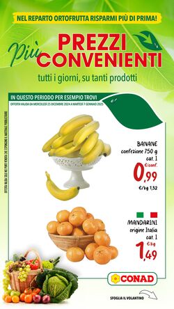 Volantino Conad 25.12.2024 - 07.01.2025