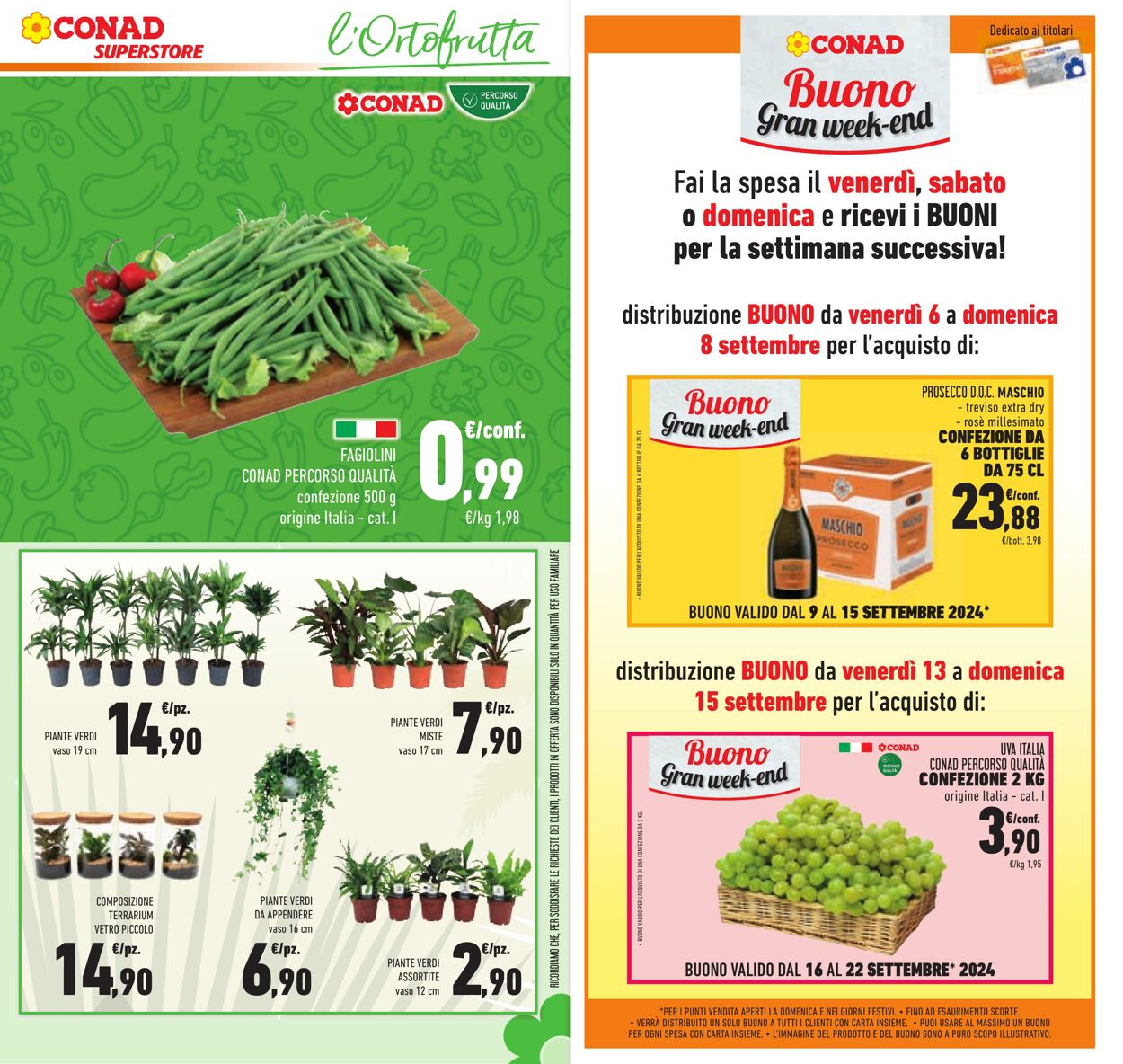 Volantino Conad 04.09.2024 - 17.09.2024