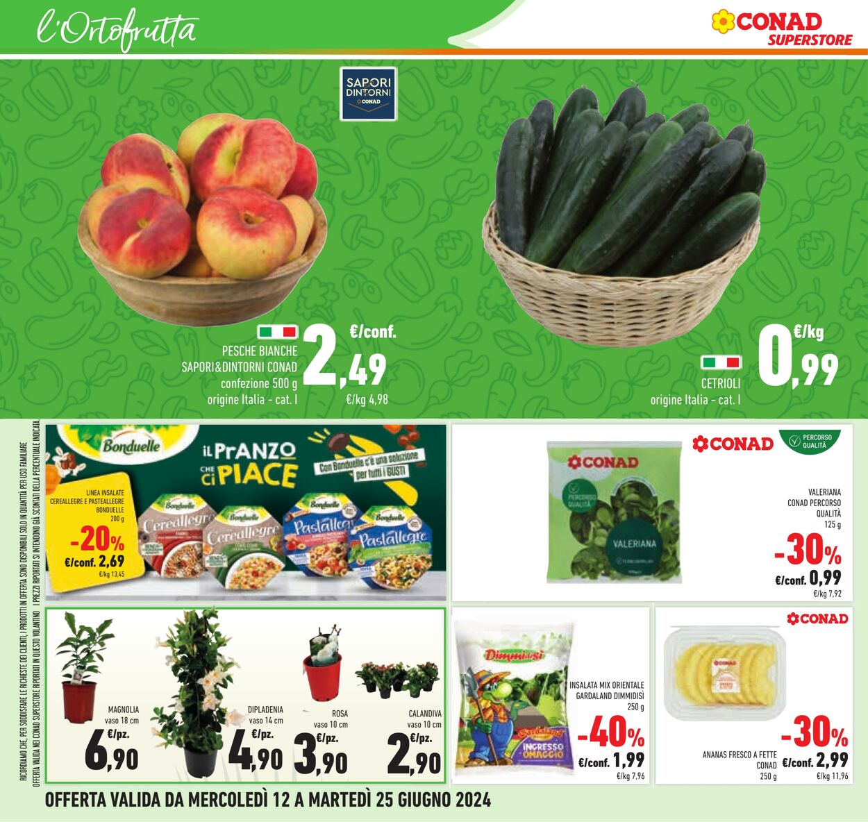 Volantino Conad 12.06.2024 - 25.06.2024