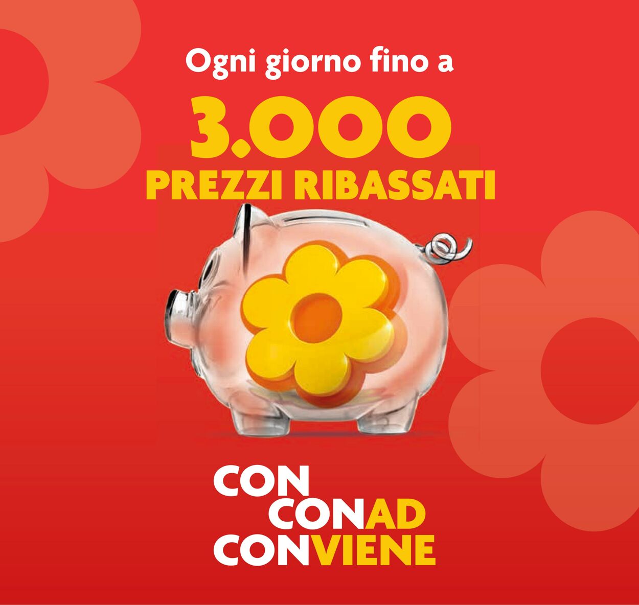 Volantino Conad 12.06.2024 - 25.06.2024